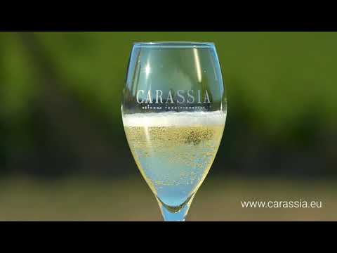 Flying above the sparkling terroir