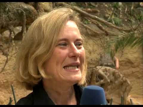 Rheinzeit - Veranstaltungstipps: Kölner Zoo, 02.07.2010