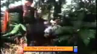 11 md bonzo dog band