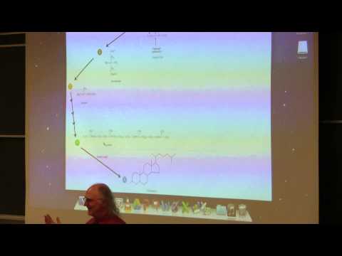 Kevin Ahern's BB 350 (Lipid Metabolism III) 2014 - #34