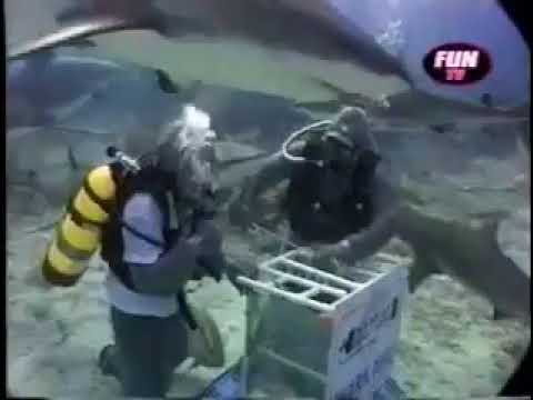 [Fun TV/Fun Radio]  Lorenzo & Génie : L'émission sous-marine avec une plongée au milieu des requins