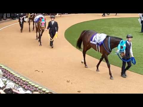 The 16 contenders for the GI 2018 Arima Kinen in the parade ring