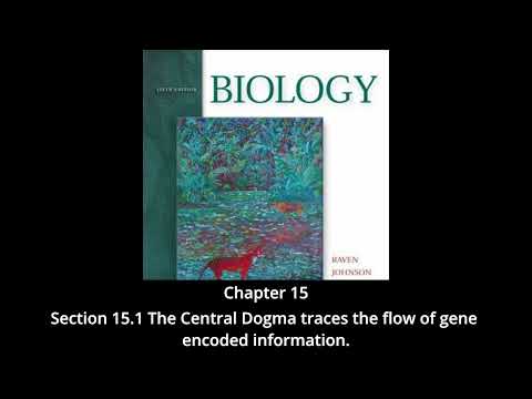 Biology - Chapter 15, Genes and How They Work