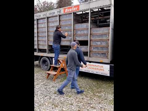 Nowy Targ załadunek i wypuszczenie gołębi z miejscowości Świebodzin - 26.09.2021