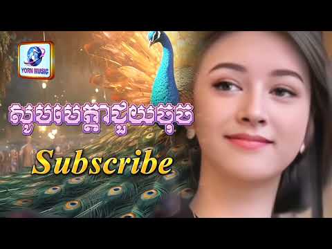610 NO VOICE ក្ងោកក្រមុំ Kangok Kromom