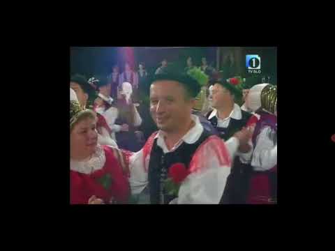 Ansambel Stopar - S harmoniko pod starimi kostanji