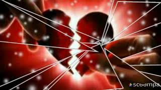 Nadie se muere de amor Los Temerarios