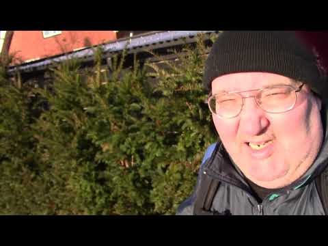 MongoTV_889  - Del 1 - Regninger ER Betalt 2.Januar 2018