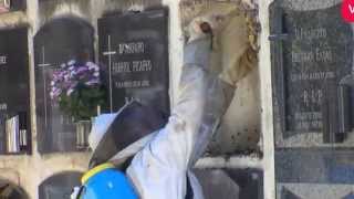 preview picture of video 'Los bomberos retiran un panal de abejas del cementerio de Utebo'
