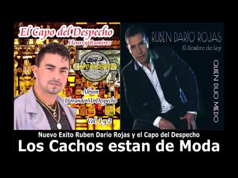 Los Cachos están de Moda Ruben Dario Rojas y El Capo del Despecho
