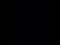 Douji Feva Slowed