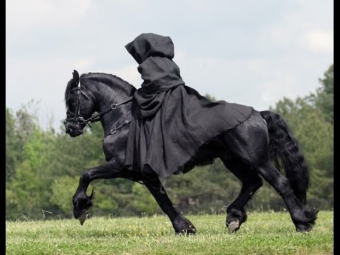 Cavalos Friesian