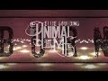 Ellie Goulding - "Burn" Cover By The Animal In ...