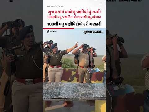 Jamnagar ના ખીજડીયામાં 2 લાખથી વધુ પક્ષીઓ મહેમાન બન્યા, બે દિવસીય ગણતરીની કામગીરી પૂર્ણ