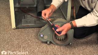 Dryer Repair: Replacing the Blower Wheel (Whirlpool Part # 56000)
