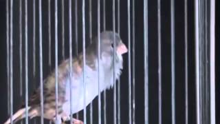 Blog Archives Motecy