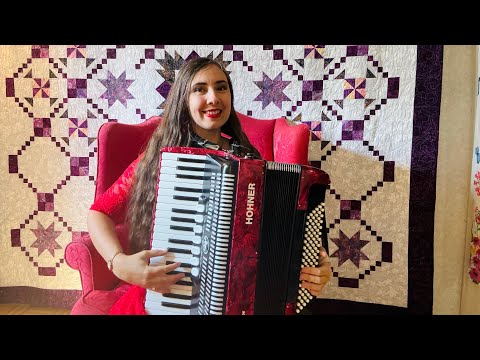RED HOHNER BRAVO III PIANO ACCORDION image 8