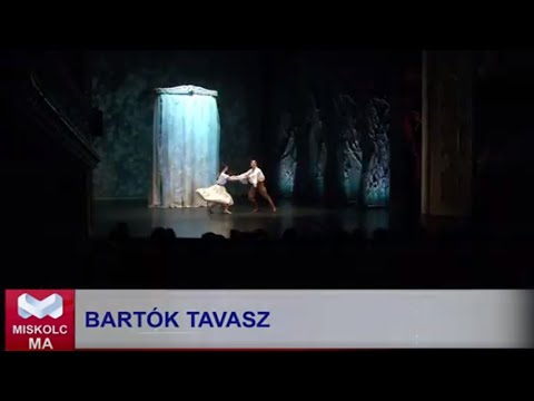 Videó előnézet