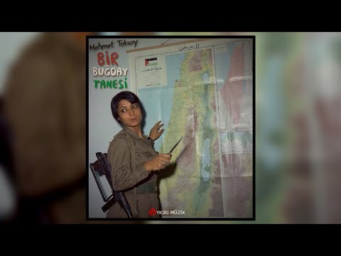 Mehmet Toksoy - Bir Buğday Tanesi (Sözleriyle)
