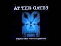 At The Gates - Raped By The Light Of Christ