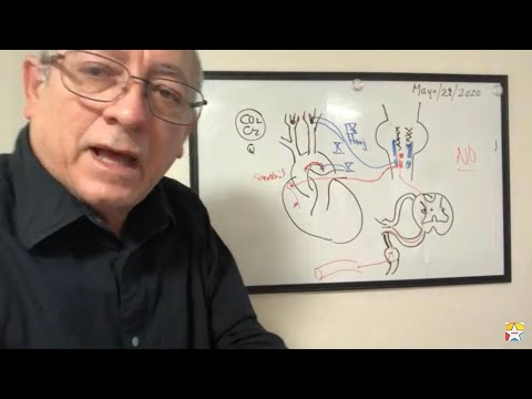 Barorreceptores Vasculares & SRAA