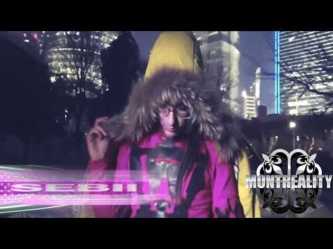 montreality dvd and SEBii