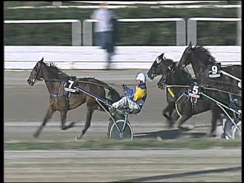 Trotto 26/01/2016 - 2° corsa