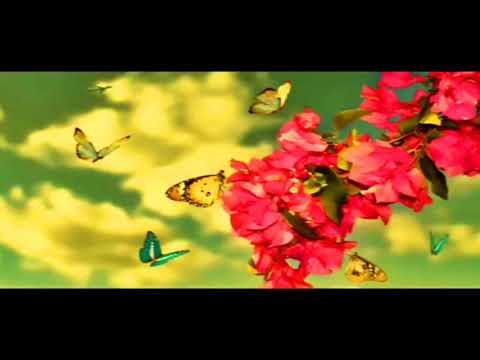 LAVDIM ZYMERI-Biseda Me Nefsin-