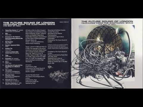 The Future Sound Of London ‎– Teachings From The Electronic Brain (The Best Of FSOL) Full Album