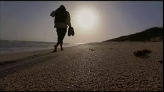 Wondering Where The Lions are - Bruce Cockburn.m4v