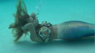 trina the mermaid new mermaid bra