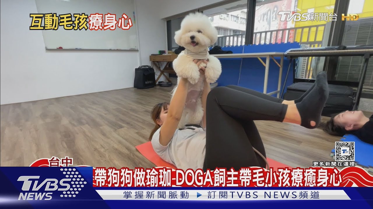 帶狗狗做瑜珈DOGA　飼主帶毛小孩療癒身心