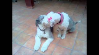 Drowners Luv Hold Me Down