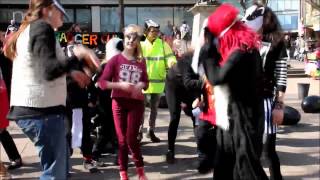 Anti Badger Cull Harlem Shake
