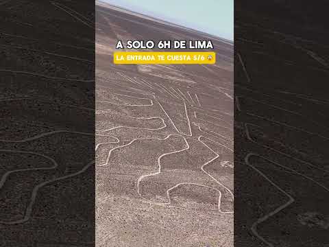 A solo 6h aprox de Lima, puedes conocer las líneas de Nazca desde una torre de observación en Ica 😱