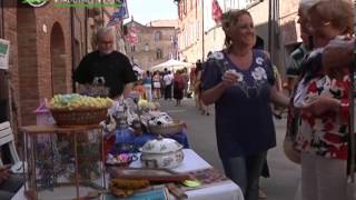 preview picture of video 'Infiorata di S. Luigi Gonzaga 2013, Città della Pieve (PG) - Viaggi nel Verde'
