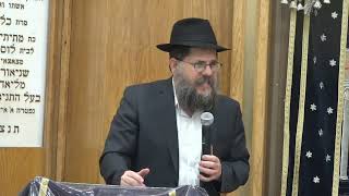 התוועדות חסידית כ"ח ניסן עם  הרב  מנחם מענדל גלוכבסקי והרב שניאור אשכנזי  עשו כל אשר ביכולתכם תשפ"ו