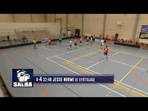 Maalikooste LNM - Salba 24.02.2019