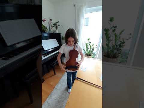 Violine - Virtueller Tag der offenen Tür