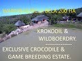 Want To See Limpopo Crocodiles Game Farms For Sale