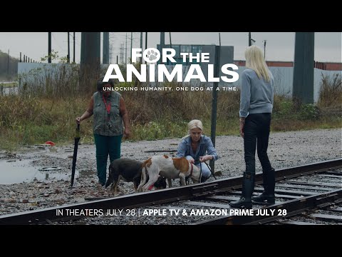 FOR THE ANIMALS [OFFICIAL TRAILER] - a powerful documentary about the stray animal crisis