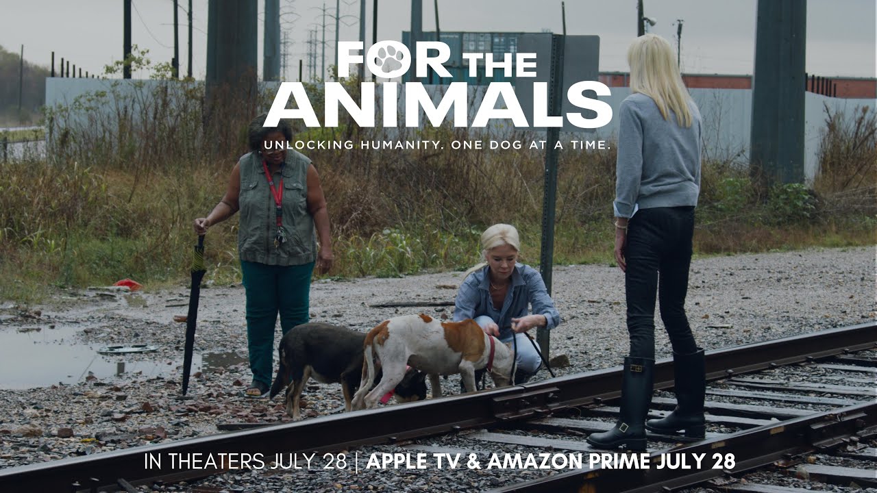 FOR THE ANIMALS [OFFICIAL TRAILER] - a powerful documentary about the stray animal crisis