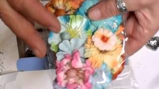 Late Birthday Gifts from Theresa Petermann - jennings644