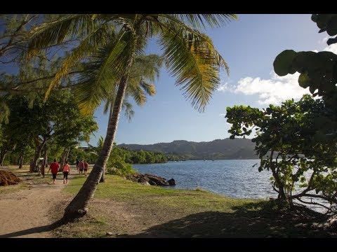 Nalewka przywieziona z Karaibów