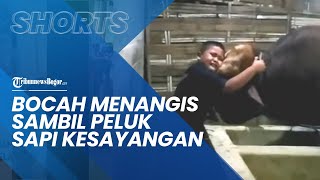Video Bocah Menangis Sambil Memeluk Sapi Kesayangannya yang Jadi Kurban, Warganet Ikutan Nyesek