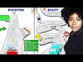 The ONLY Cybersecurity GRC Career Roadmap You Need