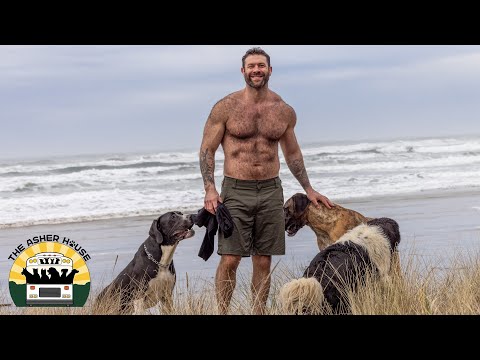 Rain or shine, I take some of the pack to the beach every week | The Asher House