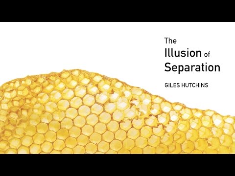 The Illusion Of Separation (2014)