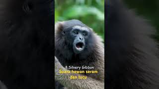 Download lagu suara hewan lucu dan seram#shorts mp3