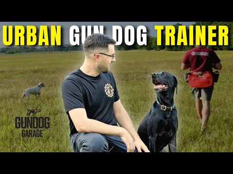 Urban Gun Dog Trainer | Ep. 287